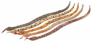 Sandtier Gekko (37 cm) oder Schlange (58 cm)