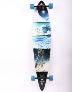 Arbor Longboard Complete Timeless Pin-GT