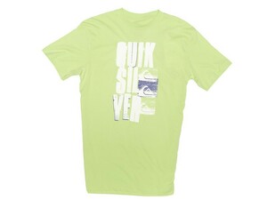 Quiksilver T-shirt The Performer green