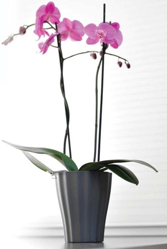 Orchideentopf Orchideenbertopf  OLA  16cm