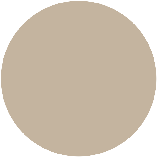 Farbton 398