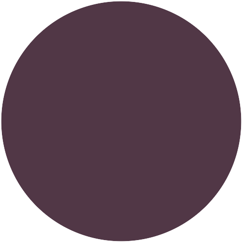 Farbton RAL 4007 Purviolett