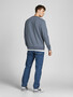 Jack & Jones Basic Sweater Langarm Sweatshirt Rundhals Pullover Jumper JJEBASIC