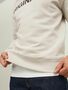 Jack & Jones Basic Sweater Langarm Shirt Rundhals Pullover Jumper JORCLEAN