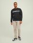 Jack & Jones Basic Sweater Langarm Shirt Rundhals Pullover Jumper JORCLEAN