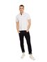 Tom Tailor Polo Shirt BASIC POLO