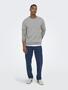 Basic Sweatshirt ONSCERES