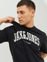 Jack & Jones 2-er Set T-Shirt JJEJOSH 