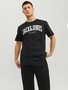 Jack & Jones 2-er Set T-Shirt JJEJOSH 
