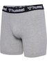 2-er Set Boxershorts HMLBOXERS