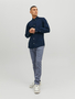 Jack & Jones Hemd Slim Fit JJEOXFORD
