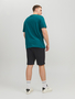 Jack & Jones Sweat Shorts JPSTSHARK