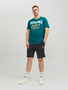 Jack & Jones Sweat Shorts JPSTSHARK