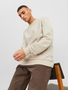 Jack & Jones Basic Sweatshirt JJEBRADLEY