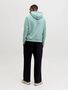 Jack & Jones Hoodie JEBRADLEY