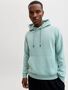 Jack & Jones Hoodie JEBRADLEY