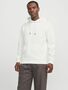 Jack & Jones Hoodie JEBRADLEY
