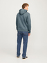 Jack & Jones Hoodie JEBRADLEY