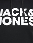 Jack & Jones Plus Size Hoodie Kapuzen Pullover JJECORP