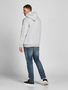 Jack & Jones Plus Size Hoodie Kapuzen Pullover JJECORP