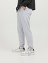 Jack & Jones Jogginghose Basic Relaxed Fit JPSTGORDON