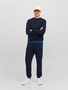 Jack & Jones Jogginghose Basic Relaxed Fit JPSTGORDON