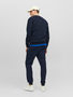 Jack & Jones Jogginghose Basic Relaxed Fit JPSTGORDON