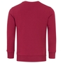Herren Sweater Regular Fit Rundhals Longsleeve Pullover  A&S