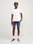 Jack & Jones Shorts Regular Fit Used Look Knopfleiste