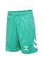 Sportset T-Shirt Shorts Regular Fit Logodruck