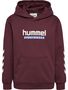 Hummel Kinder Hoodie mit sportlichem Design