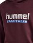 Hummel Kinder Hoodie mit sportlichem Design