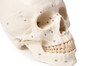 anatomisches Modell, Sch�del, skull, nummeriert, 3 Teile