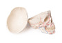Sch�del, Kopf Skelett Skull, m. Muskelmarkierung, Sch�delmodell zerlegbar 3 Teile