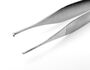 Adson Pinzette. chirurgische Pinzette, 12,5 cm, feine Ausf�hrung