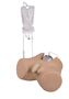TOP Modell! Blasenkatheterisierung Simulator Henri, m�nnlich , Katheter Modell