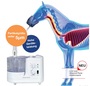 Mediware Ultraschall Inhalator f�r Pferde, stufenlos regulierbar, mit Beutel
