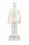 Akupunkturfigur m�nnlich, Akupunktur Figur, TCM 50 cm