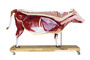 Rindermodell, Rind, 15-teilig, 1/3 nat�rliche Gr��e