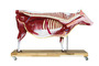 Rindermodell, Rind, 15-teilig, 1/3 nat�rliche Gr��e