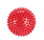 Trendy Sport Spiky Ball