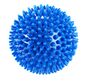 Trendy Sport Spiky Ball