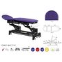 Elektrische Therapieliege mit schwarzem Metall Rahmengestell 62 x 200 cm 