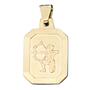Anh�nger Sternzeichen Sch�tze 333 Gelbgold teilmattiert 