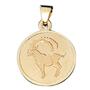 Anh�nger Sternzeichen Steinbock 333 Gold Gelbgold matt 12,3 mm
