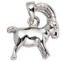 Anh�nger Sternzeichen Steinbock 925 Sterling Silber 