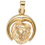 Anhnger Sternzeichen Lwe 375 Gelbgold matt Sternzeichenanhnger 