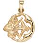 Anh�nger Sternzeichen Sch�tze 375 Gold Gelbgold matt 