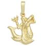Kettenanh�nger Sternzeichen Wassermann 333 Gelbgold 