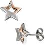 Ohrstecker Stern 925 Silber bicolor vergoldet matt mit Zirkonia Ohrringe 